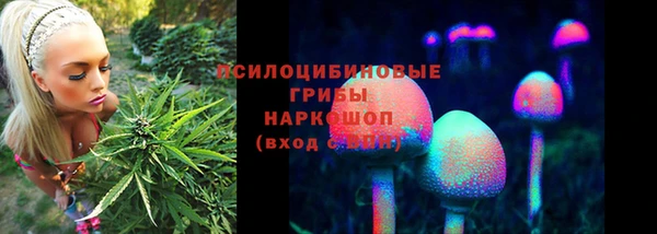 соль курить ск Кодинск