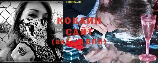 крисы Козловка