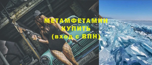 крисы Козловка