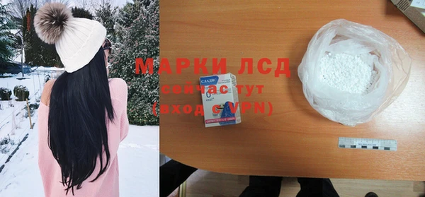 крисы Козловка