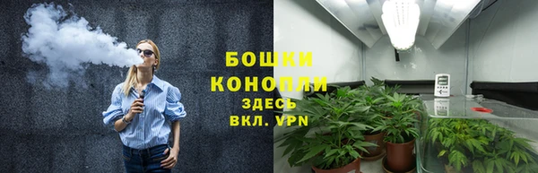 крисы Козловка