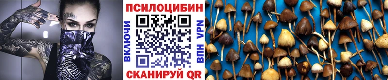 Купить закладки  Магнитогорск  Галлюциногенные грибы MAGIC MUSHROOMS 